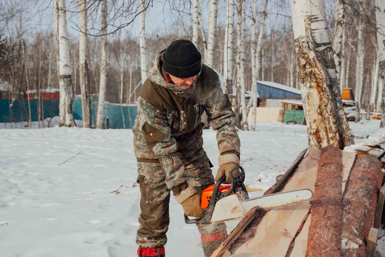 Best Tree Branch Trimming  in Waseca, MN